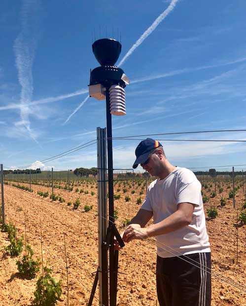 VINO-RIBERA-DEL-DUERO-SORIA-ZAYAS-DE-BASCONES